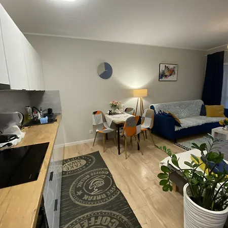 Apartament Mielczarskiego Tanie Spanie Elbląg Zewnętrze zdjęcie